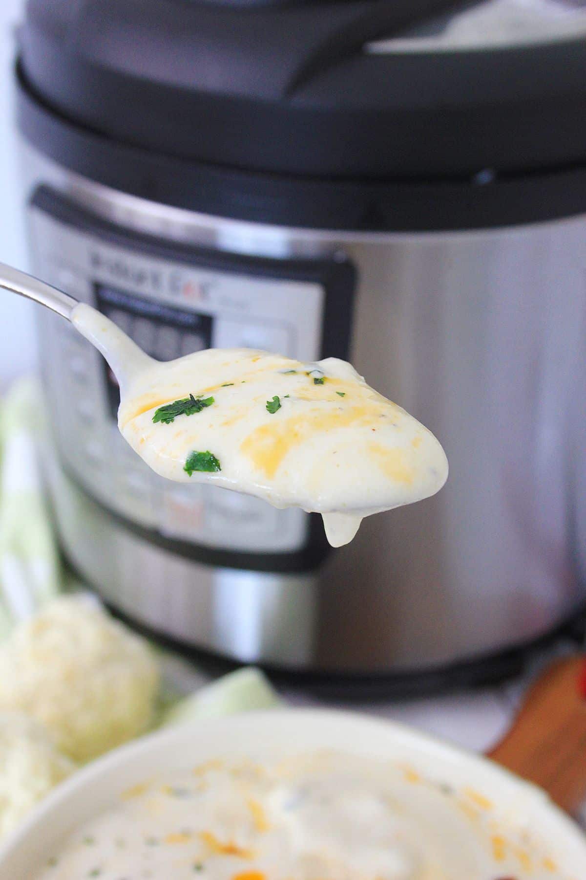spoon of Cauliflower parmesan soup