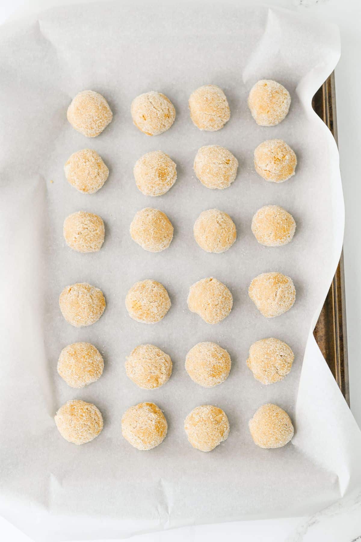 A baking sheet lined with parchment paper holds 24 evenly spaced, round, uncooked dough balls coated lightly in breadcrumbs or flour, arranged in a grid pattern.