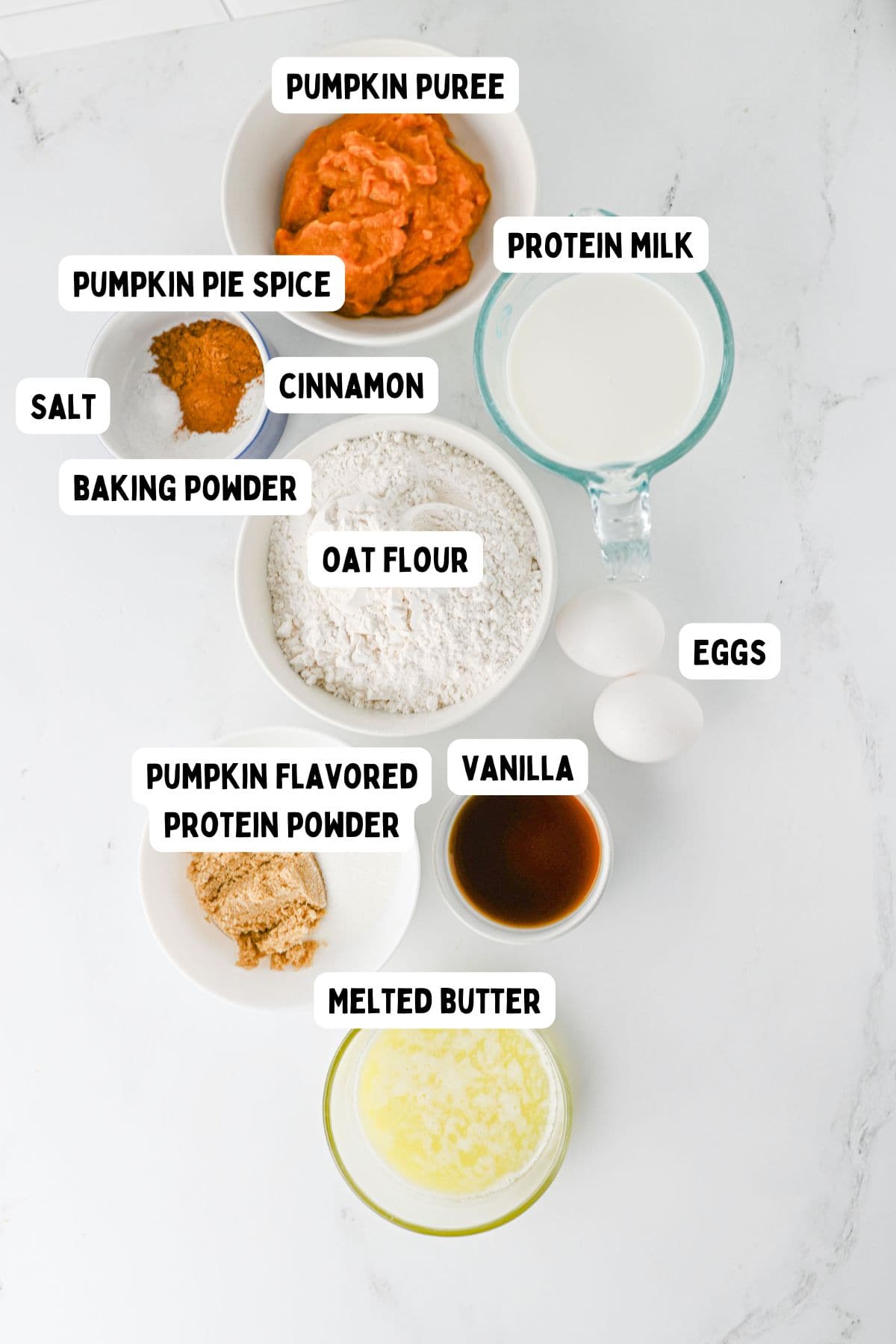 Top-down view of ingredients for a recipe, labeled: pumpkin puree, protein milk, pumpkin pie spice, cinnamon, salt, baking powder, oat flour, two eggs, pumpkin flavored protein powder, vanilla, and melted butter.